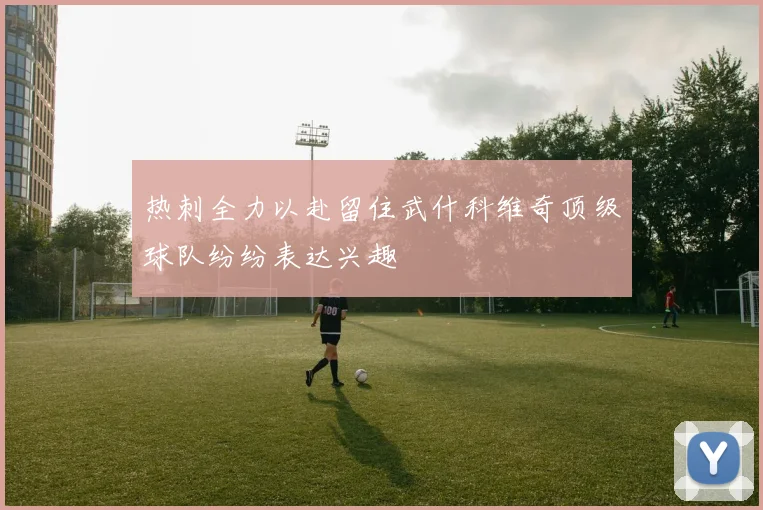 热刺全力以赴留住武什科维奇顶级球队纷纷表达兴趣