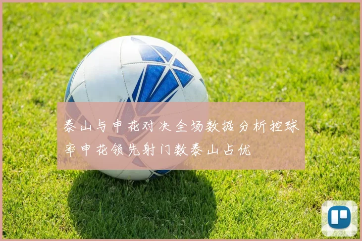泰山与申花对决全场数据分析控球率申花领先射门数泰山占优